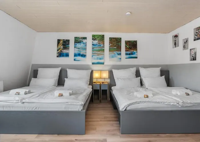 Dg - Einfach Aber Sehr Komfortabel - Fuer Bis Zu 12 Personen - Gruppen, Messe, Monteure, Studenten - Voll Ausgestattet - 3 Smart-tv 55 Zoll Netflix, 1000 Mbit Wlan, Voll Ausgestattete Kueche 公寓 *